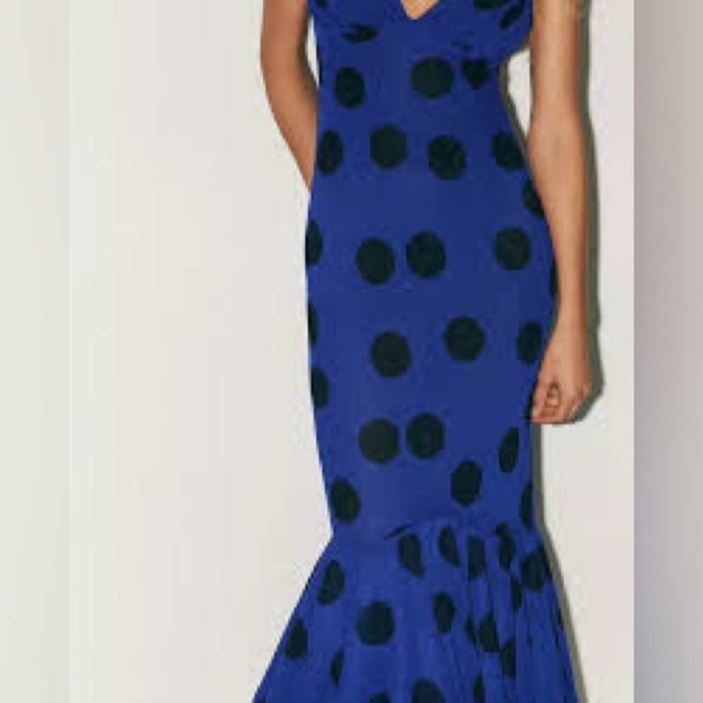 ZARA POLKA DOT RUFFLE LONG DRESS - Picture 3 of 6